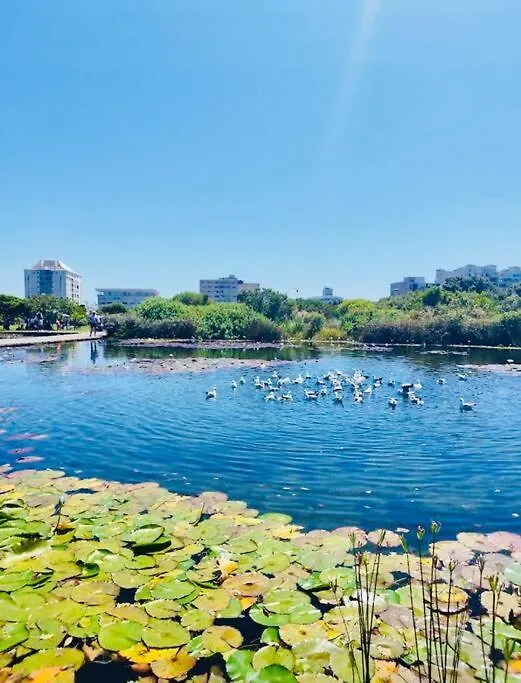 Stylish Spacious Studio Apartment Opposite Green Point Park Cape Town
